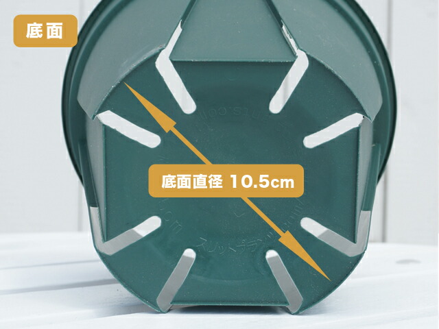 スリット鉢底面