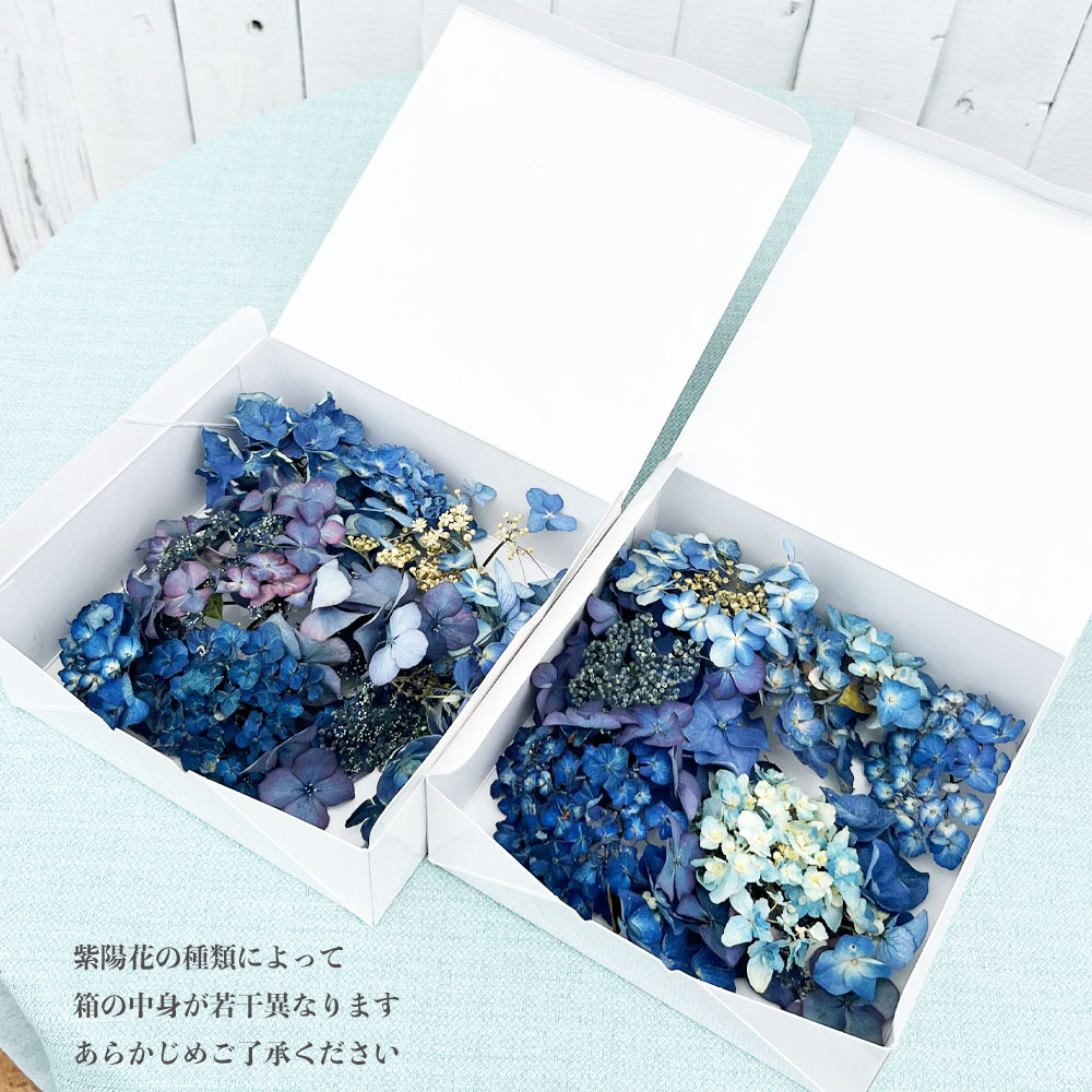 ドライフラワー 【アジサイ ブルー系】 ドライ 花材 花びら 紫陽花