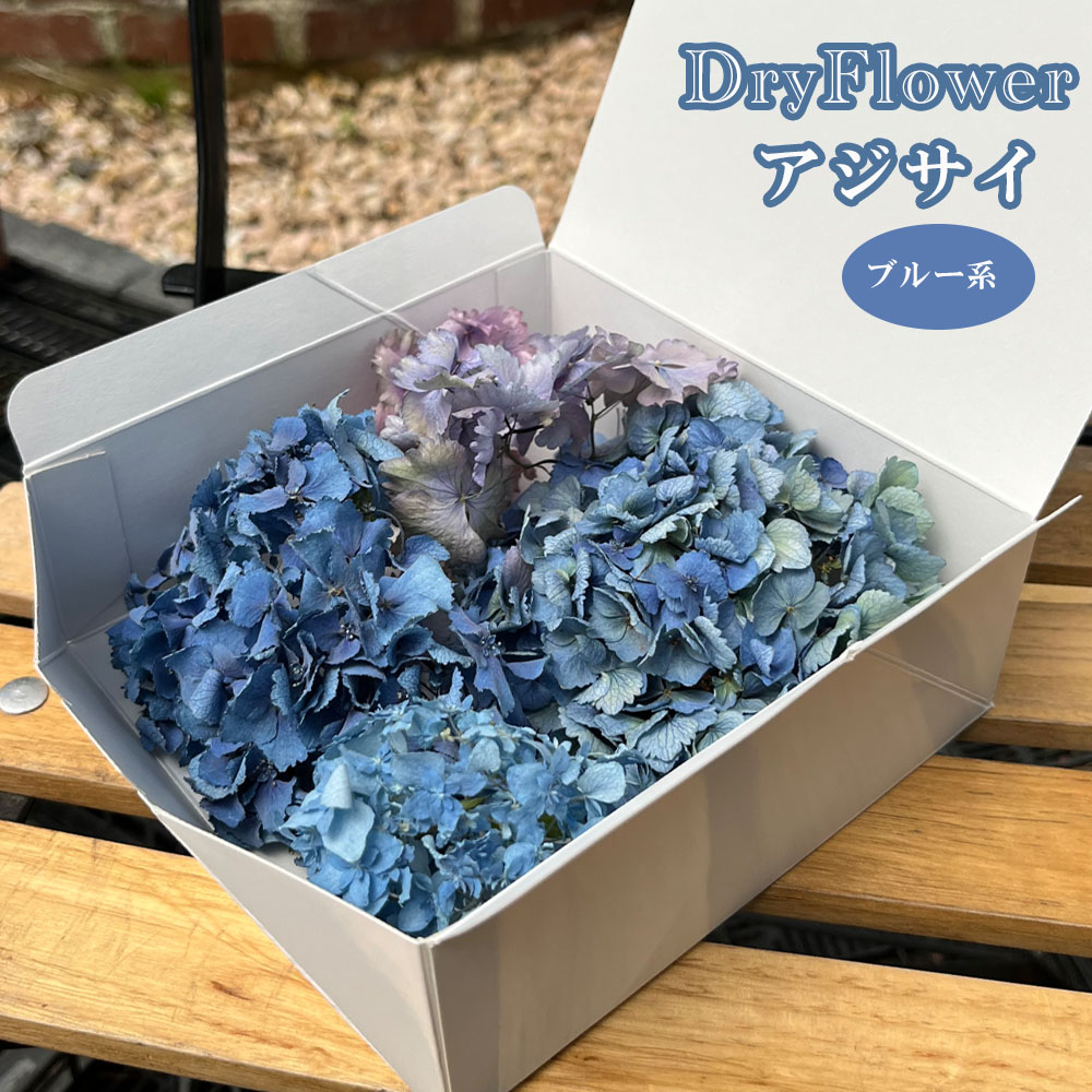 ドライフラワー 【アジサイ ブルー系】 ドライ 花材 花びら 紫陽花