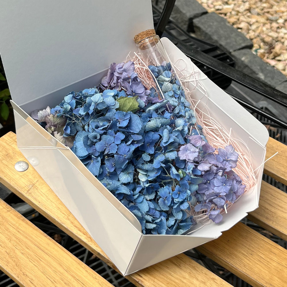ドライフラワー 【アジサイ ブルー系】 おしゃれボトルセット ドライ