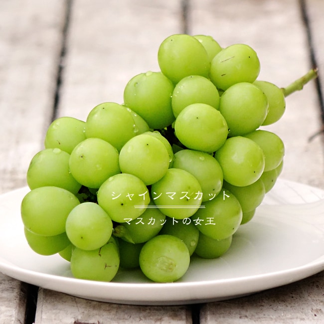 ブドウ シャインマスカット 