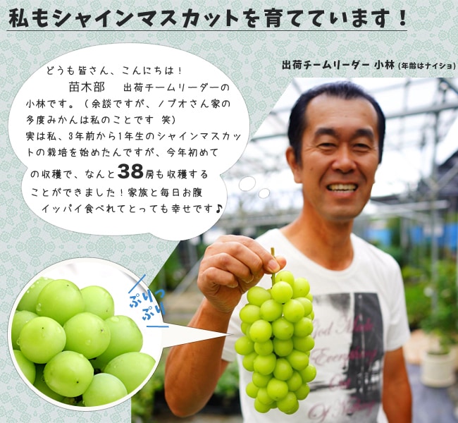 ブドウ シャインマスカット 2