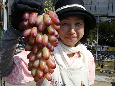 ブドウ マニキュアフィンガー 