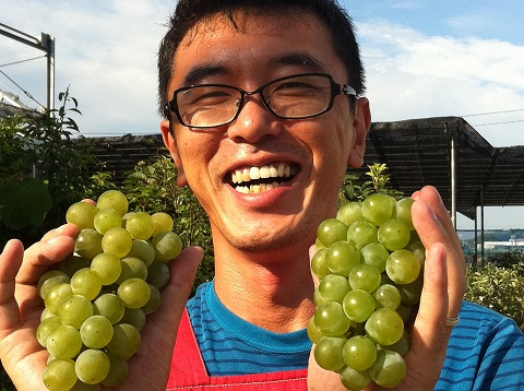 ブドウ ナイアガラ 