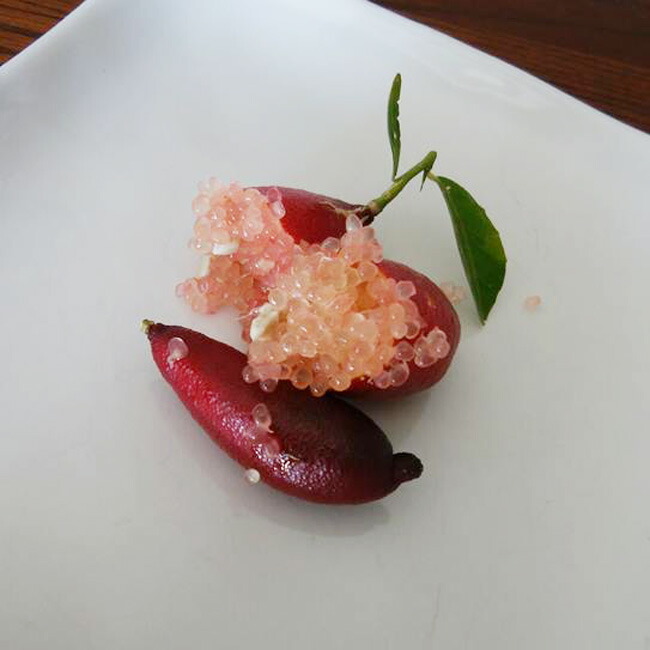 フィンガーライム赤実 