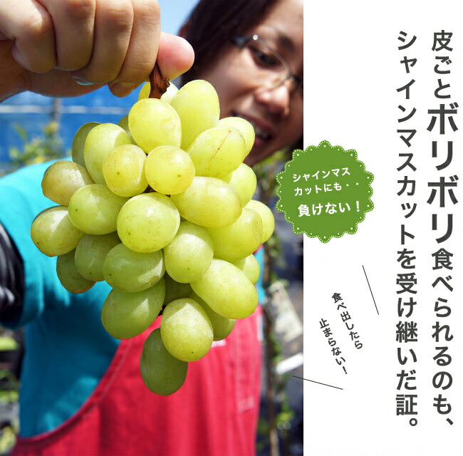 ブドウ 雄宝 （ゆうほう） 2