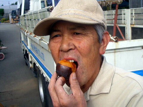 果樹　柿　黒柿　3