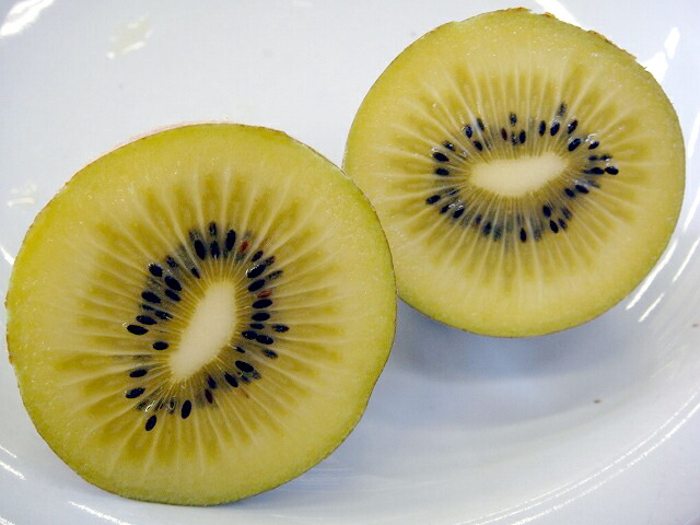 キウイ ゴールデンキング 2