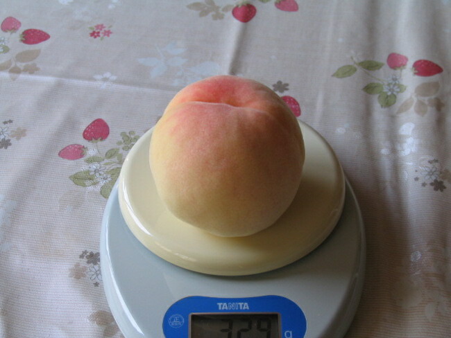 モモ 大玉あかつき 2