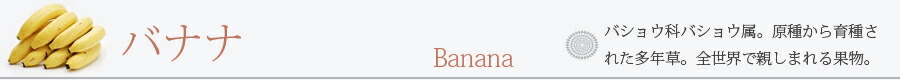 バナナ 三尺バナナ 2