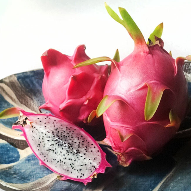 ドラゴンフルーツ 白肉種 苗 販売 苗木部 By 花ひろばオンライン