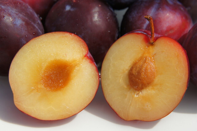 プラム・スモモ 太陽 4