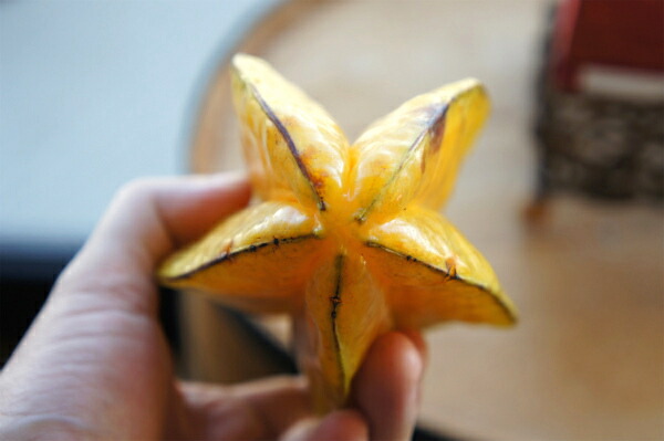 スターフルーツ ハニージャンボ