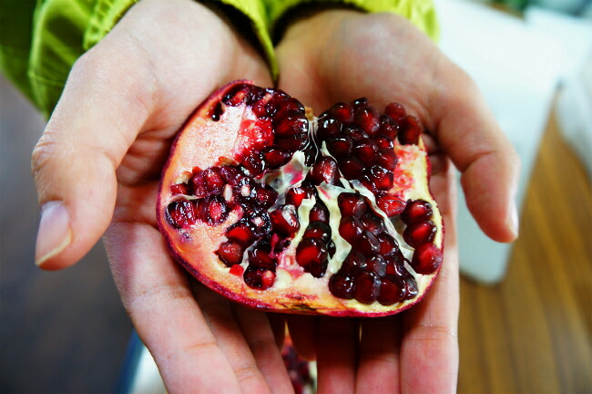 ザクロ カルフォルニアザクロ 1