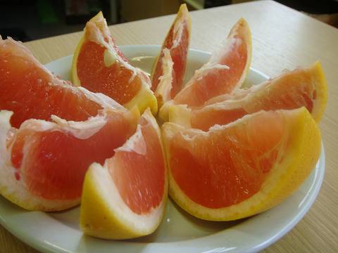 柑橘 ルビー 3