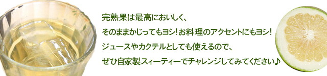 柑橘 スイーティー 2