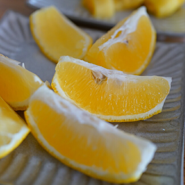 スイートレモネード レモン 苗 通販 苗木部 By 花ひろばオンライン