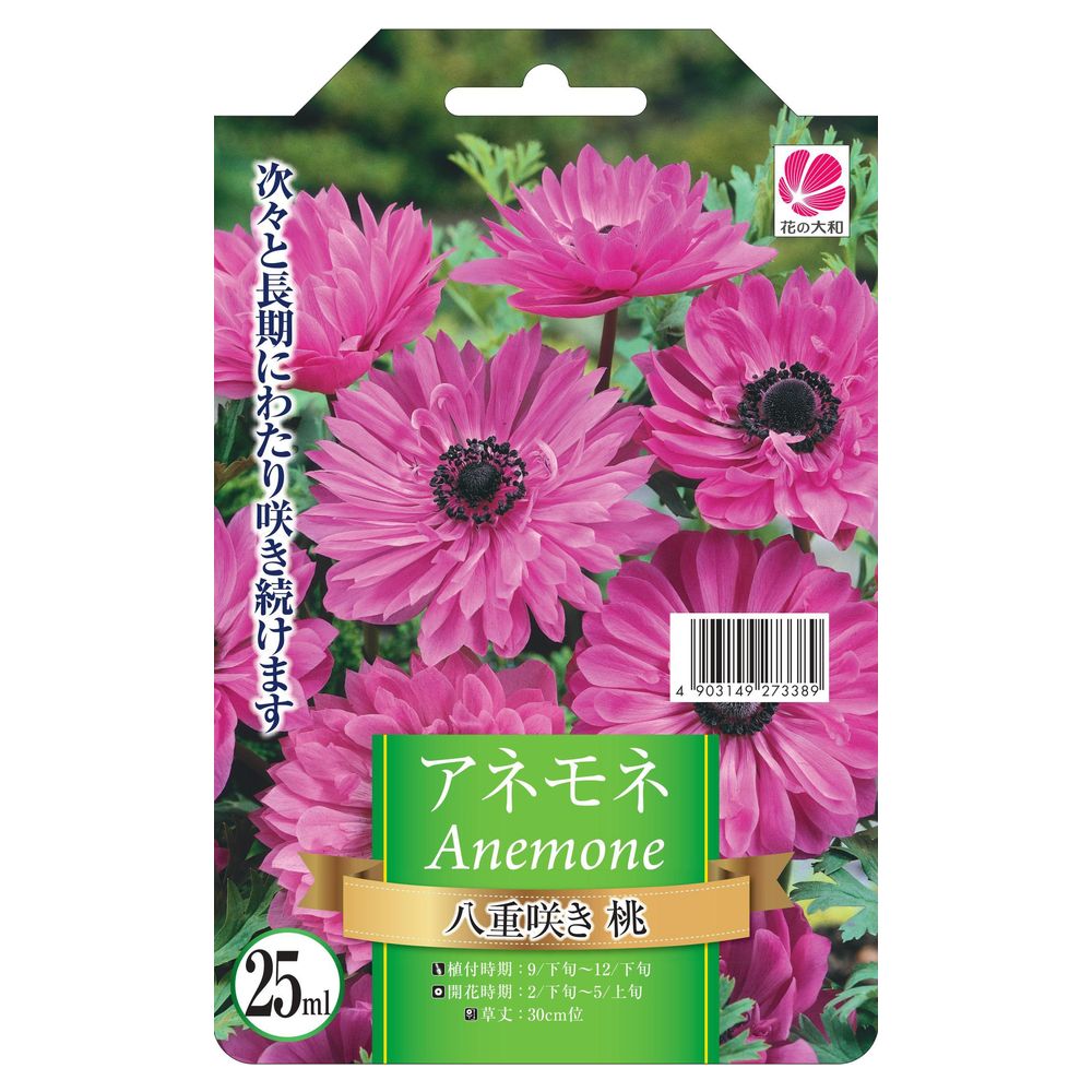アネモネ 八重咲き 桃 苗 販売 苗木部 By 花ひろばオンライン