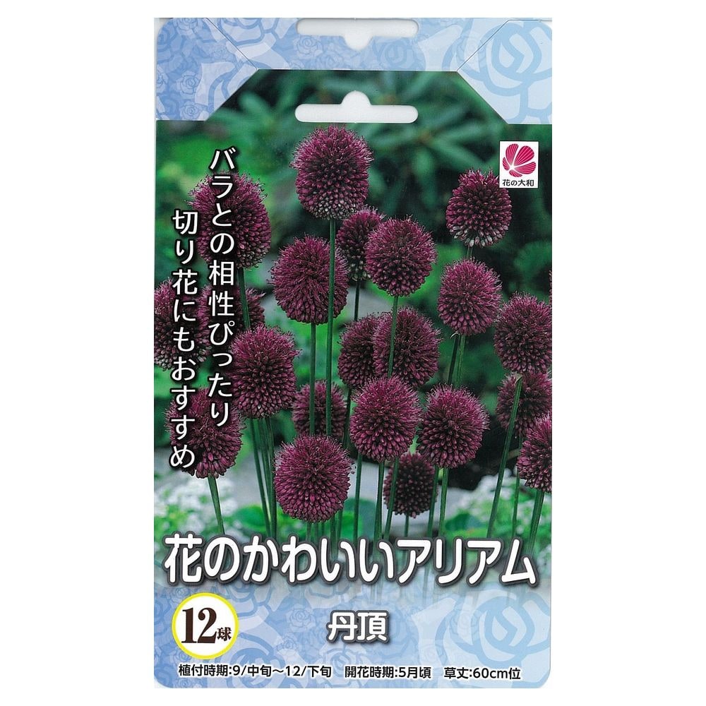 アリアム 丹頂 1