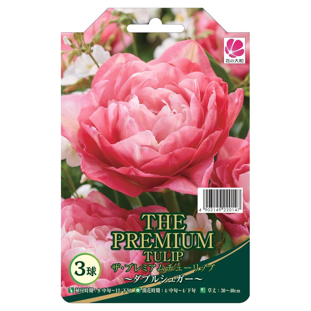 チューリップ ダブルシュガー 