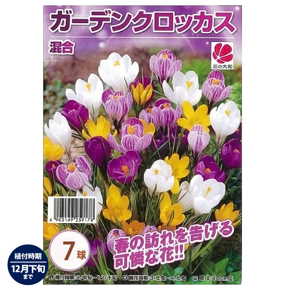 クロッカス ガーデンクロッカス混合 