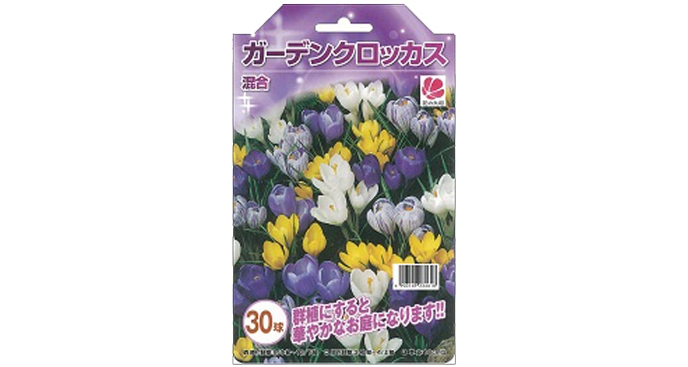 クロッカス クロッカスお徳用 