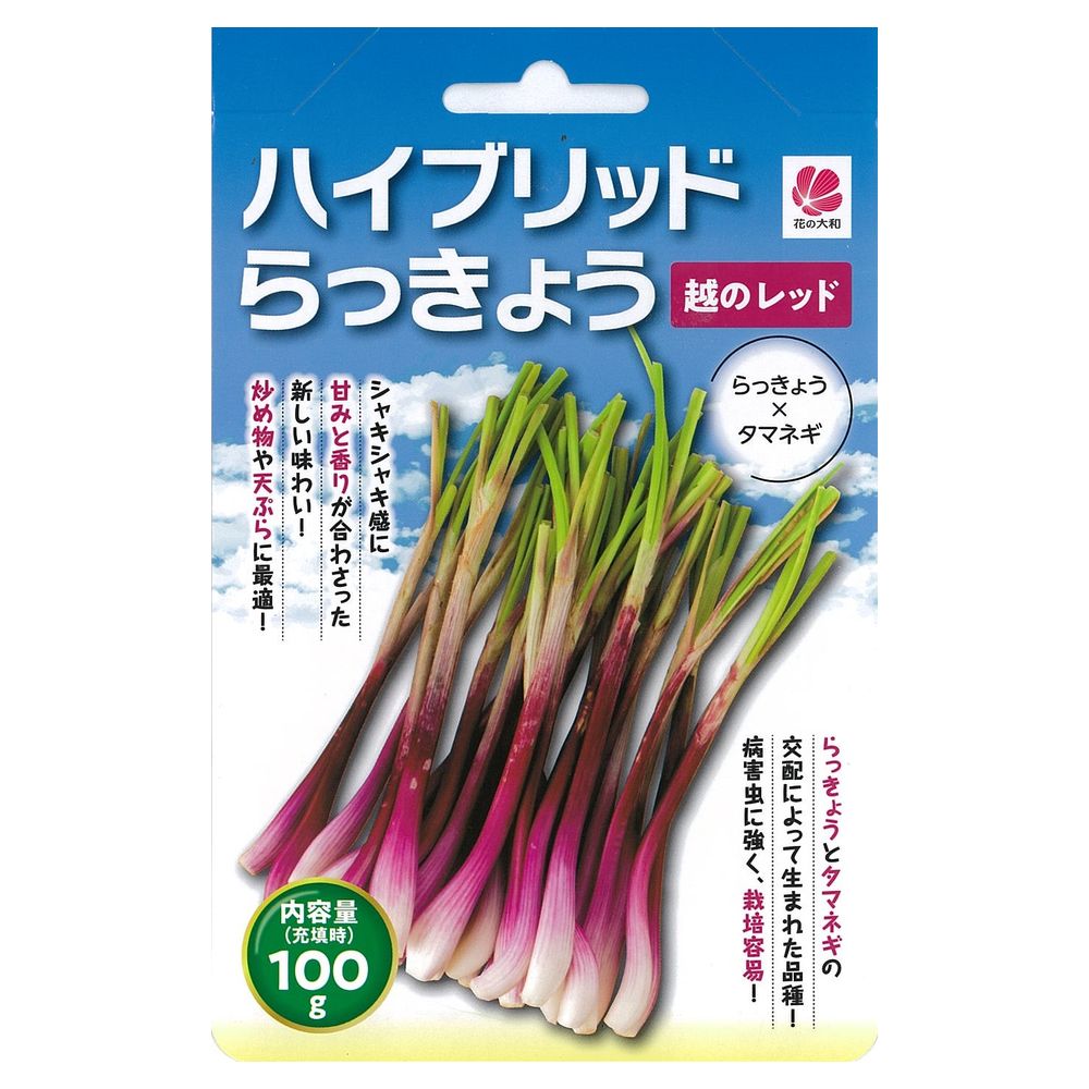 らっきょう 越のレッド 1