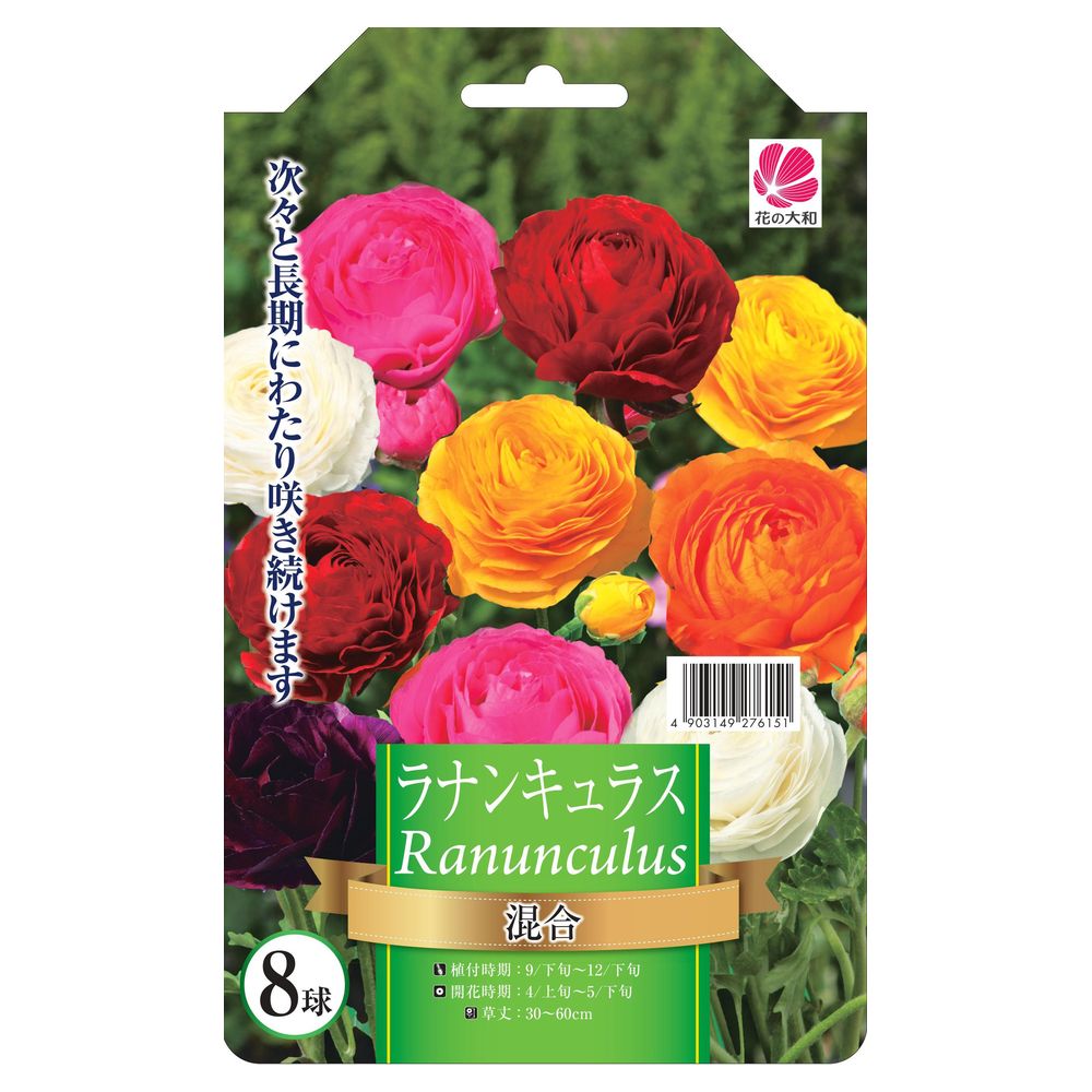 ラナンキュラス  ラナンキュラス 5色詰め合わせ 2