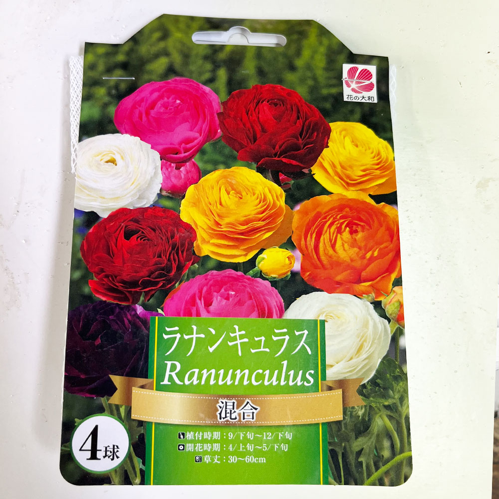 ラナンキュラス 混合 ミックス 苗 販売 苗木部 By 花ひろばオンライン