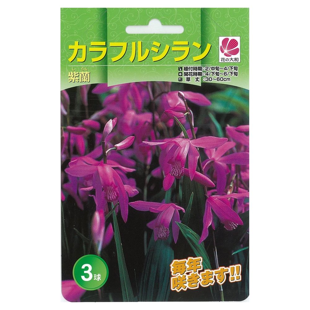 シラン シラン 1