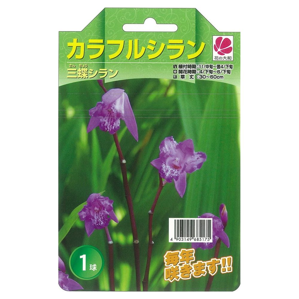 シラン 三蝶シラン 