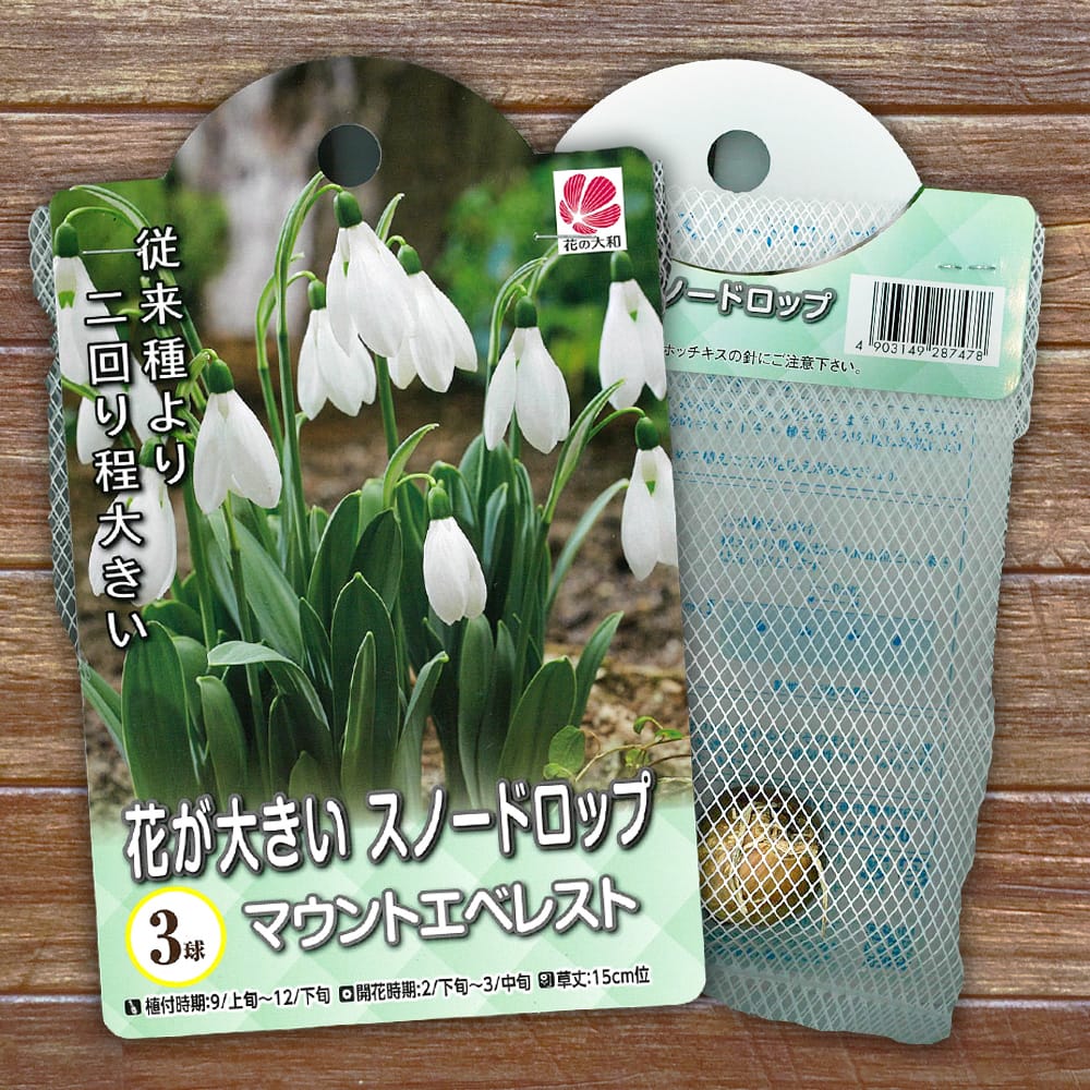 スノードロップ マウントエベレスト 2