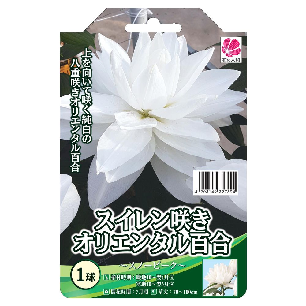 ユリ スノーピーク 