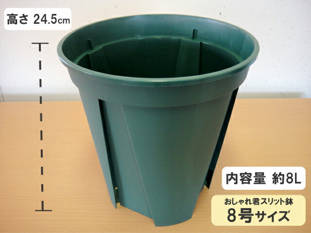   スリット鉢高さ