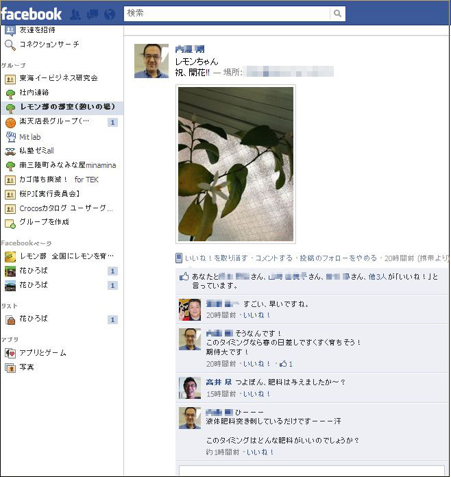 柑橘 リスボンレモン 6