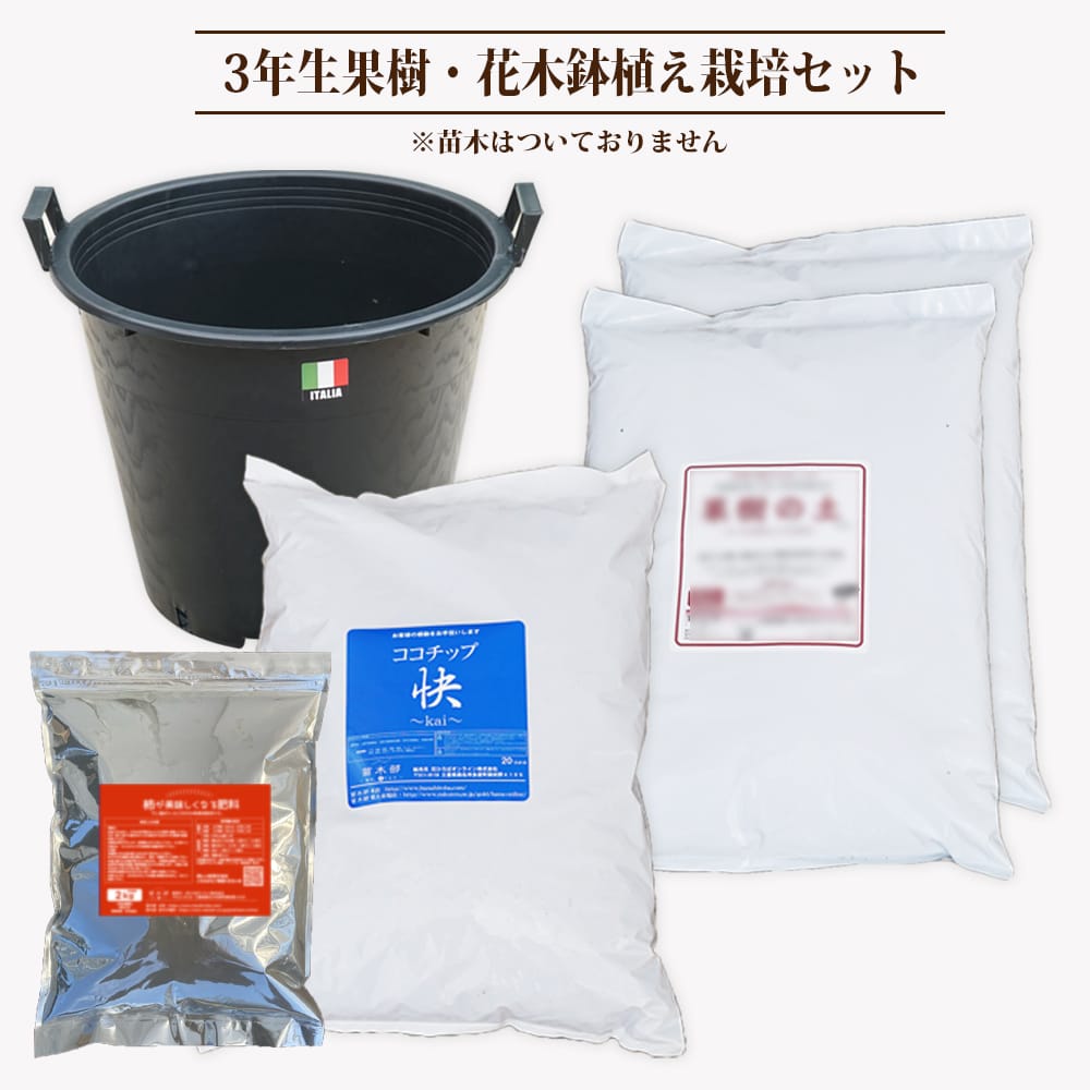  ３年生果樹栽培セット 