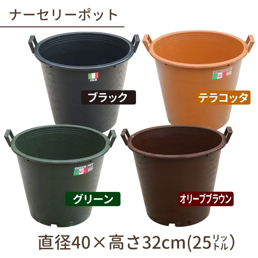 ナーセリーポット 苗 通販 おすすめ 種類 苗木部 By 花ひろばオンライン