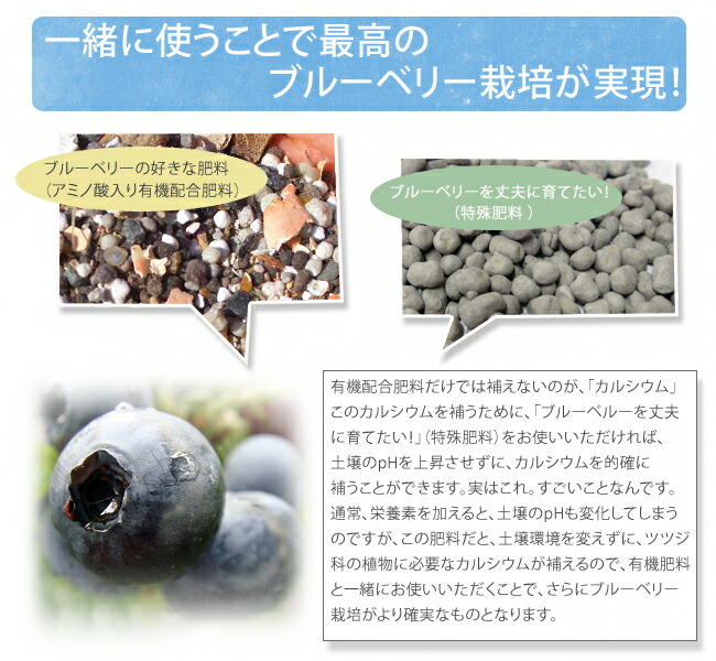 ブルーベリーの好きな肥料