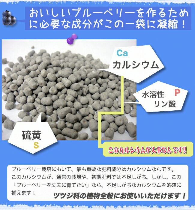   ブルーベリーの肥料 【ブルーベリーを丈夫に育てたい】