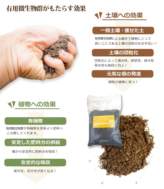 有用微生物菌群がもたらす効果