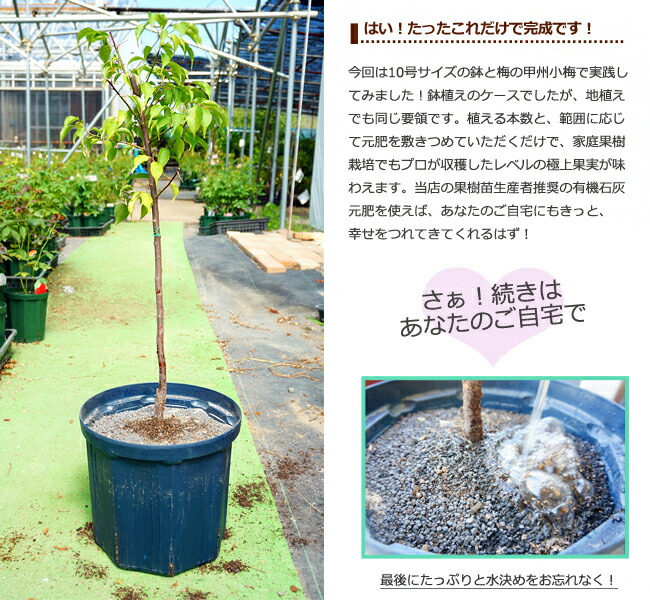 果実をおいしくする元肥 幸せをつれてくるGood Jobの使い方