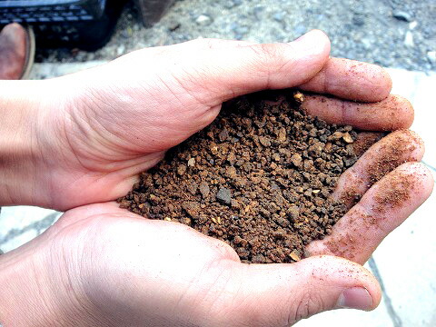 ニーム核油かす