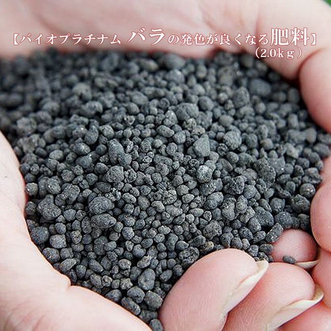 バラの発色が良くなる肥料