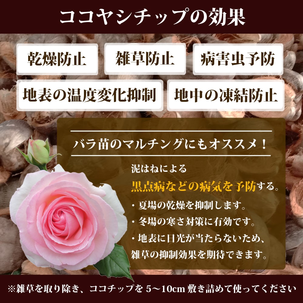 ココチップ 『快』 の効果