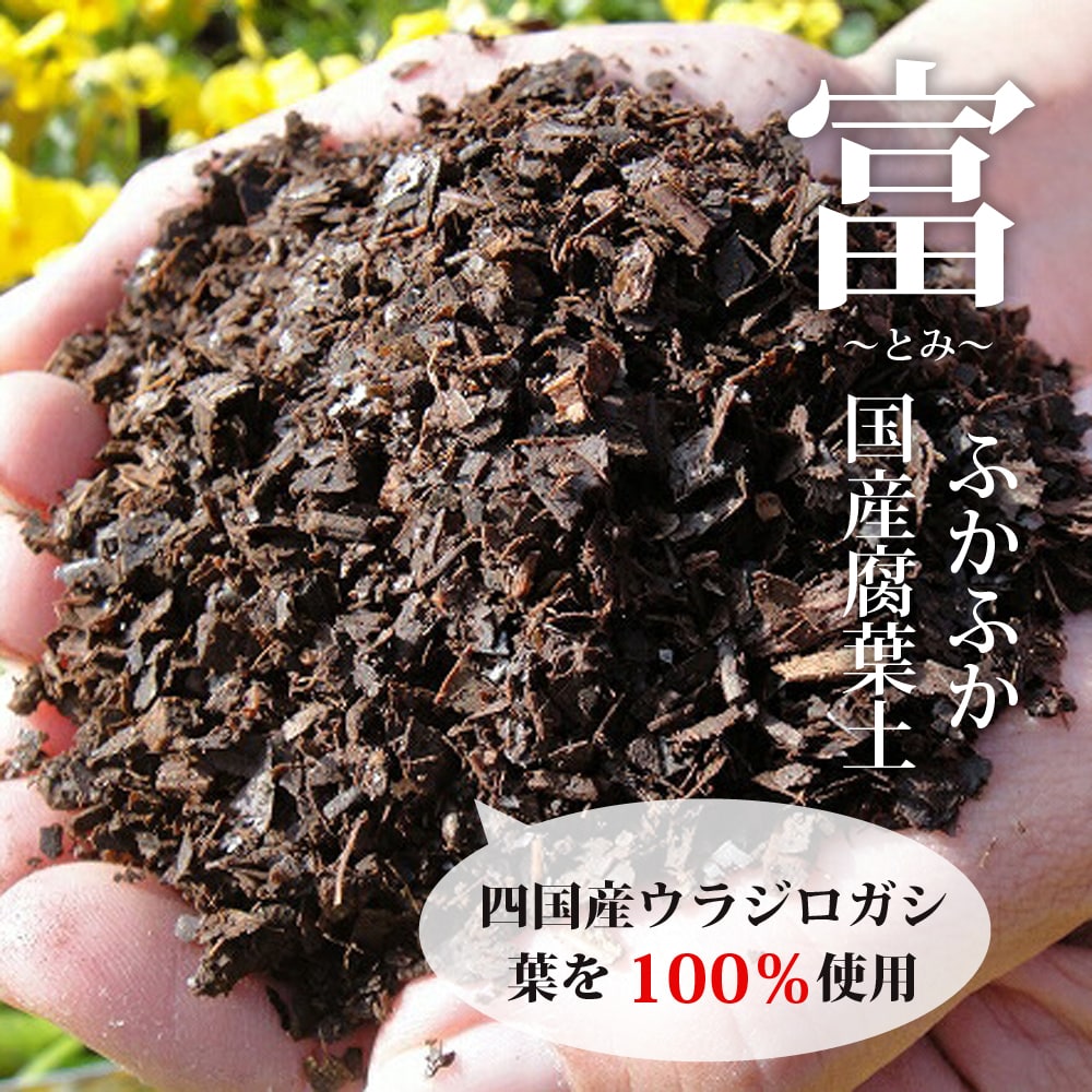   四国産ウラジロカシの葉100％