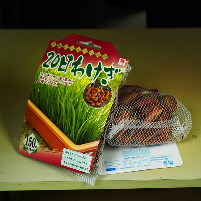 20日分葱