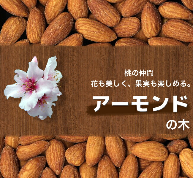 アーモンド ダベイ 3