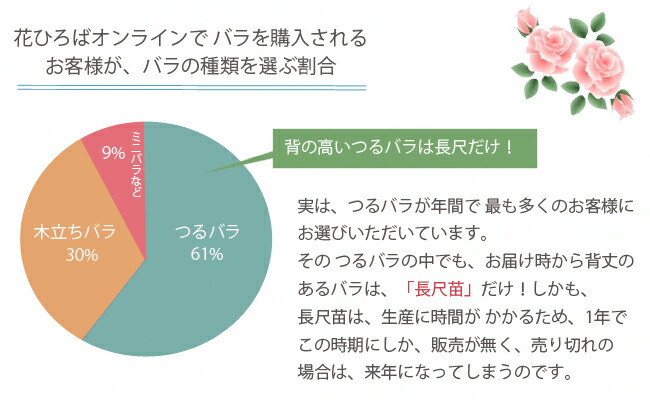 つるばら　長尺