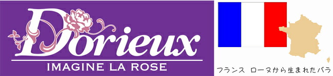 バラ アベイドゥヴァルサント 1