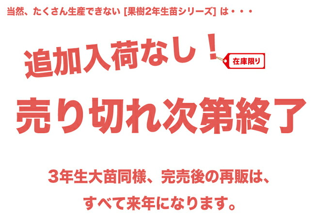 売り切れ次第終了